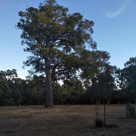Margaret House Margaret River Exterior foto